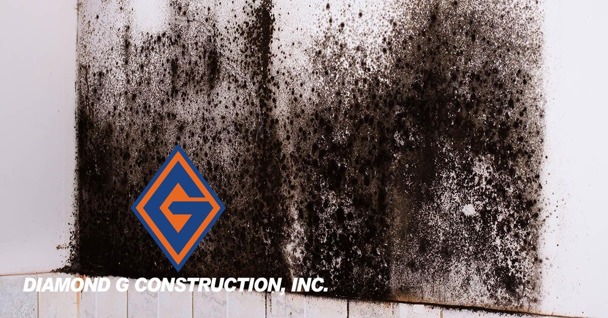  Certified Mold Abatement in Washoe Valley, NV