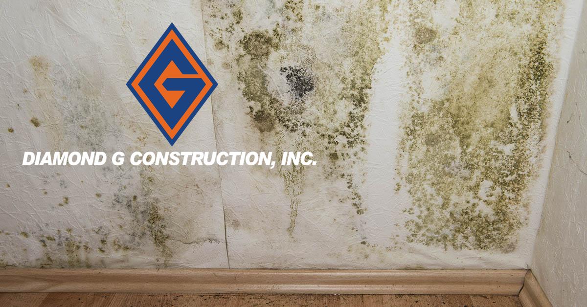  Certified Mold Damage Restoration in Cold Springs, NV