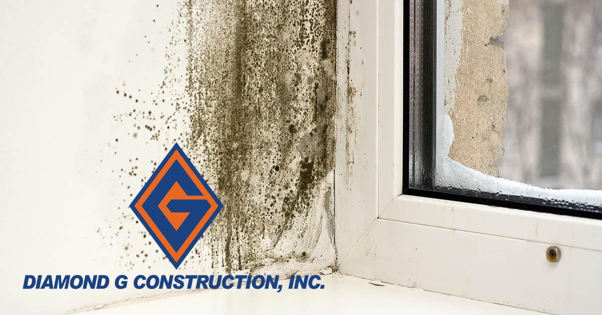  Certified Mold Damage Restoration in Carson City, NV