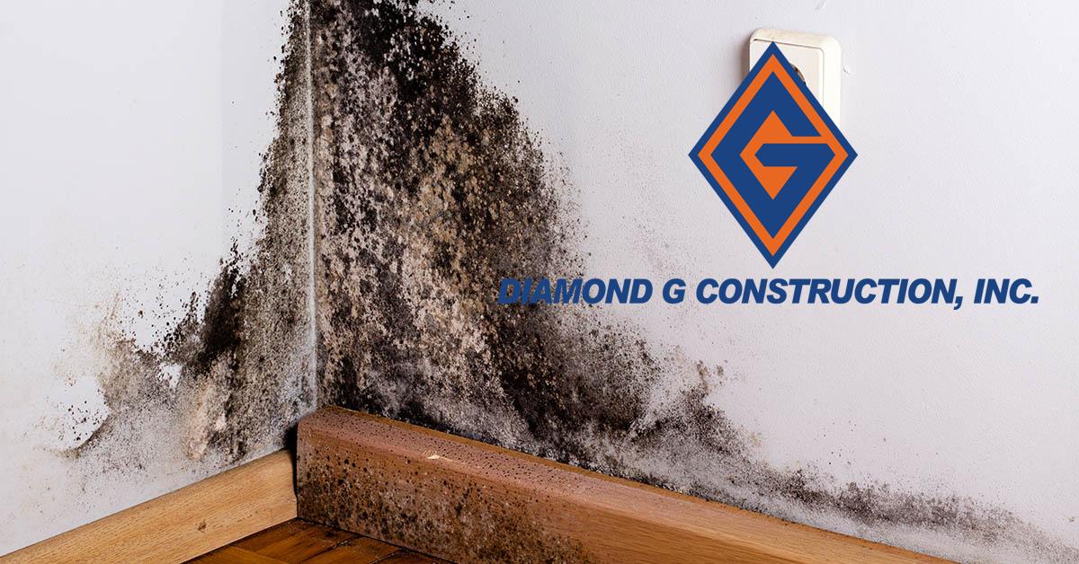  Certified Mold Mitigation in Sun Valley, NV
