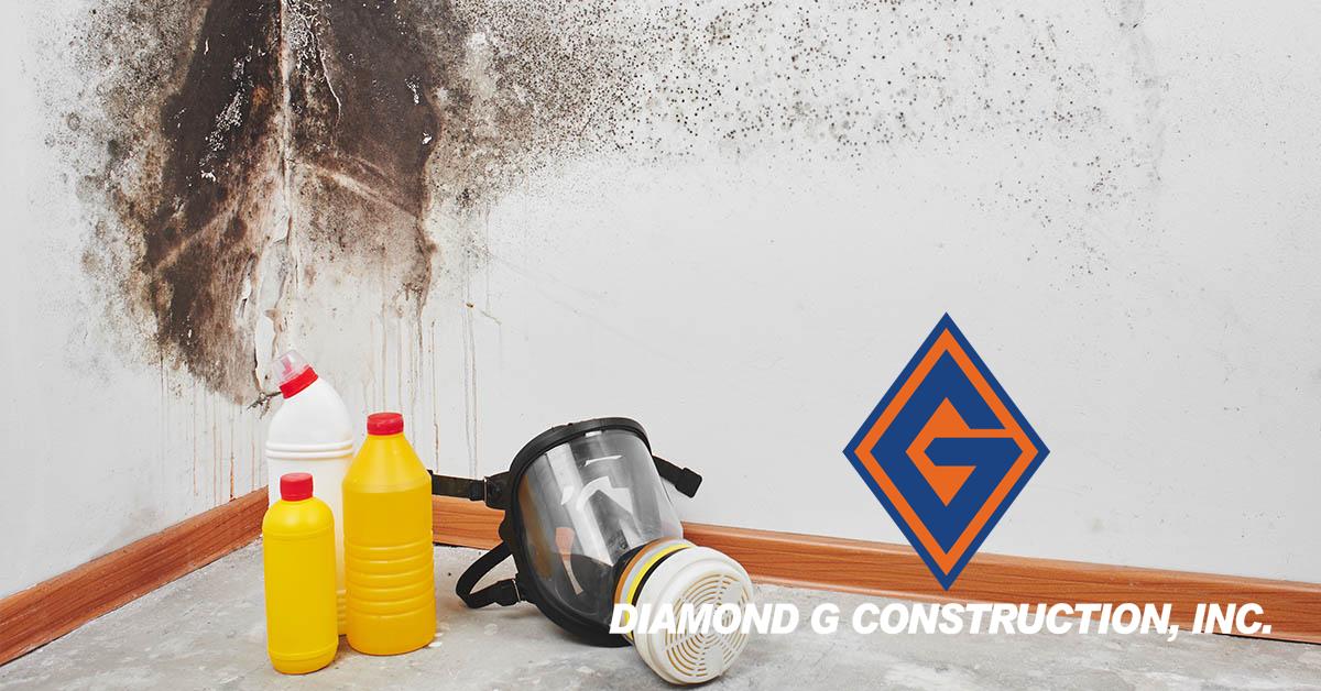  Certified Mold Removal in Cold Springs, NV