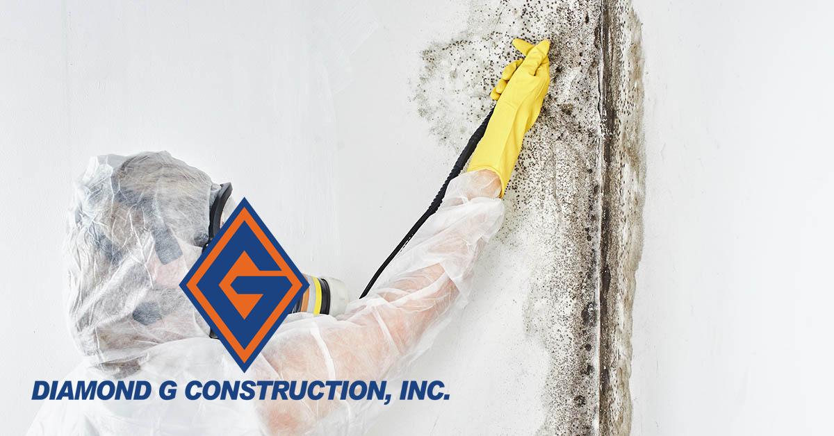  Certified Mold Removal in Golden Valley, NV