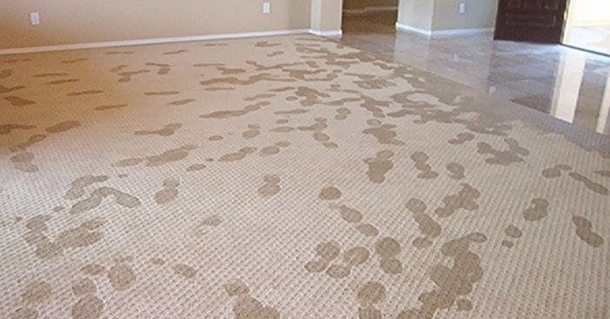 Water Damage Tips - How to Properly Treat Water Damaged Carpet
