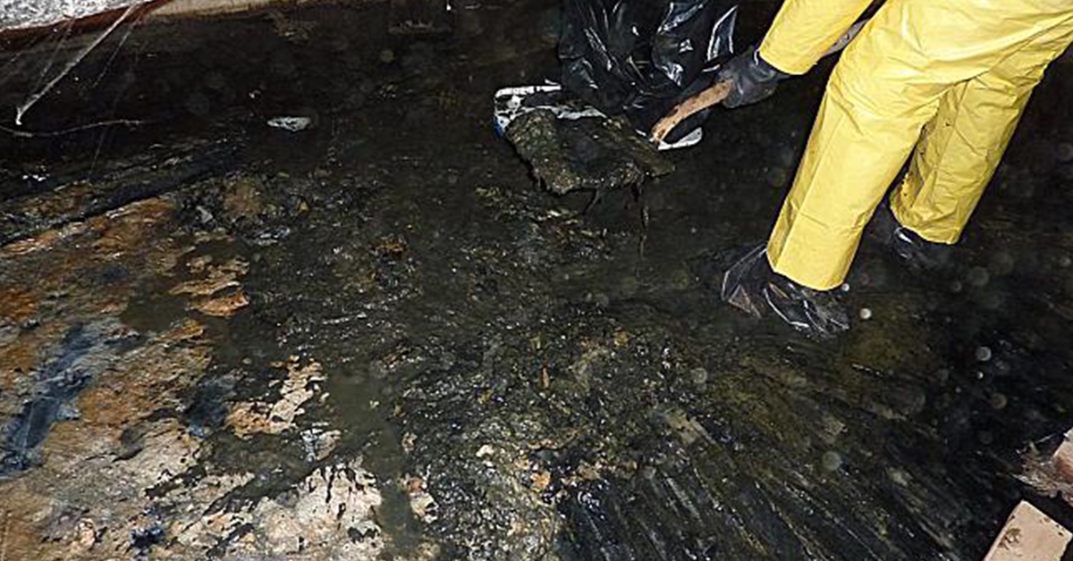 5 Tips for Choosing the Right Company To Clean Up Sewage Damage