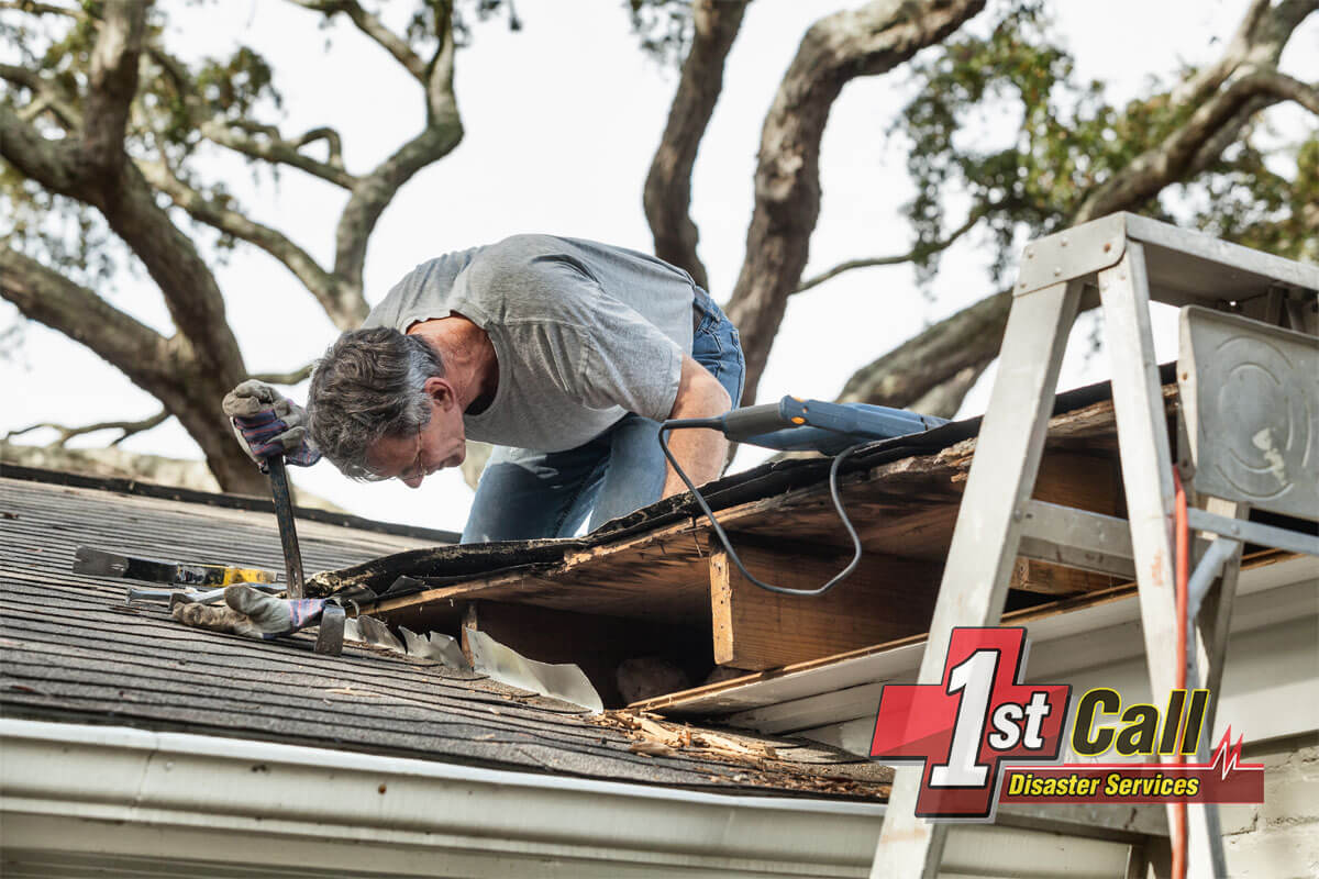 Raccoon Damage Repair in Alexandria, KY