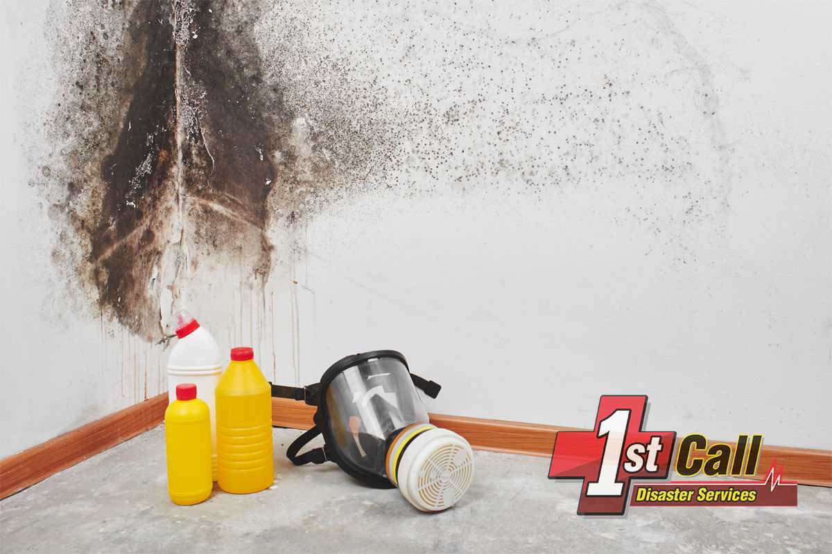   Mold Removal in Highland Heights, KY