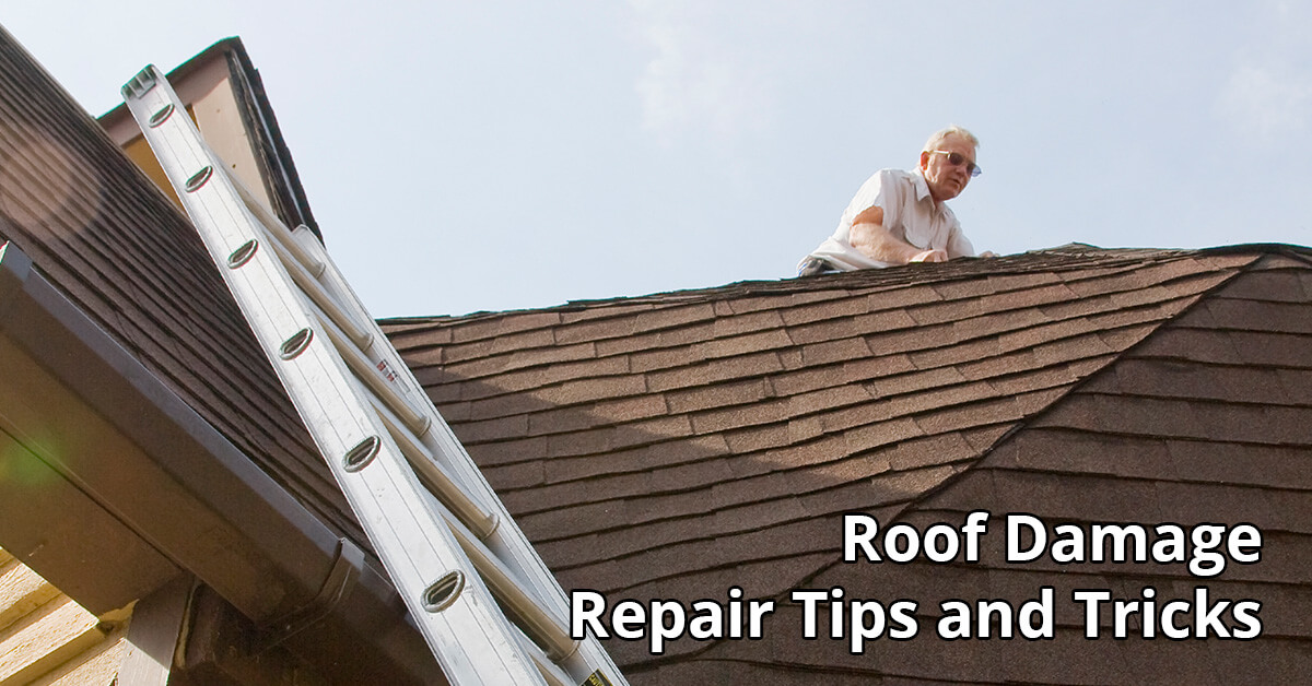   Rood Damage Repair Tips in Florence, KY
