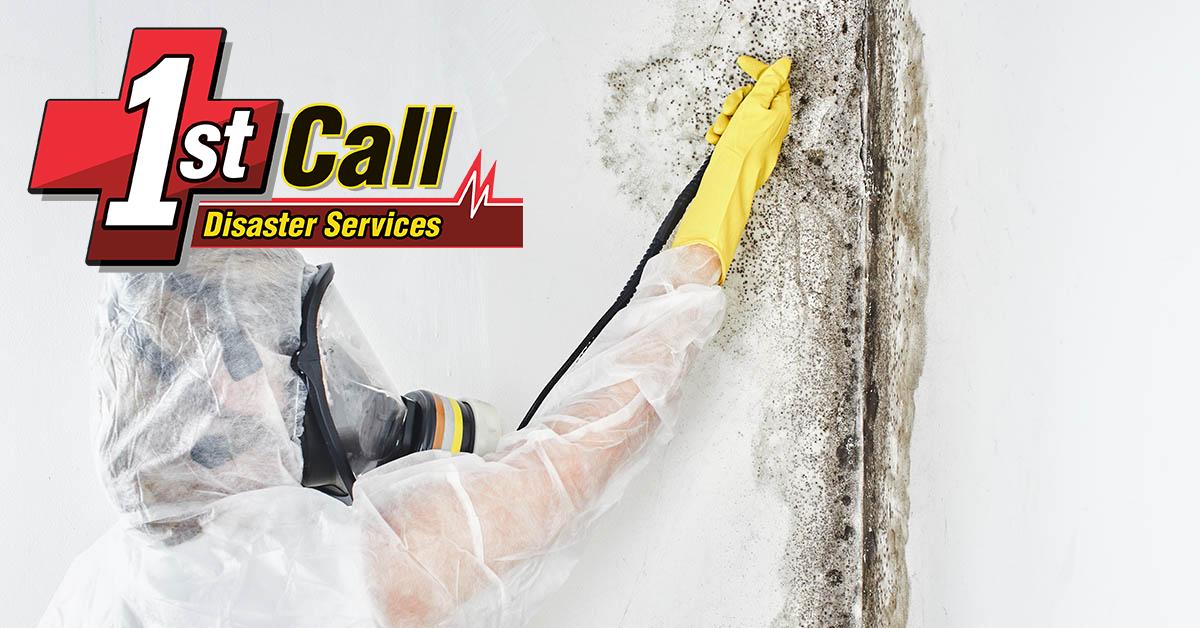  Professional Mold Removal in Dayton, KY
