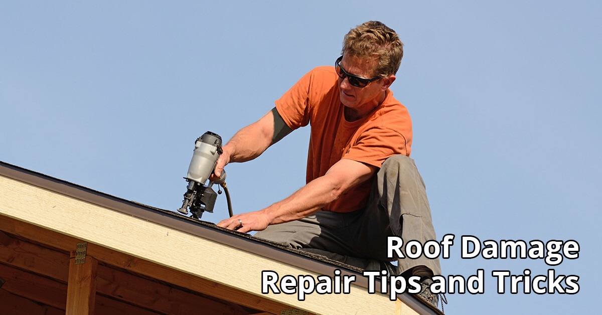   Rood Damage Repair Tips in Covington, KY