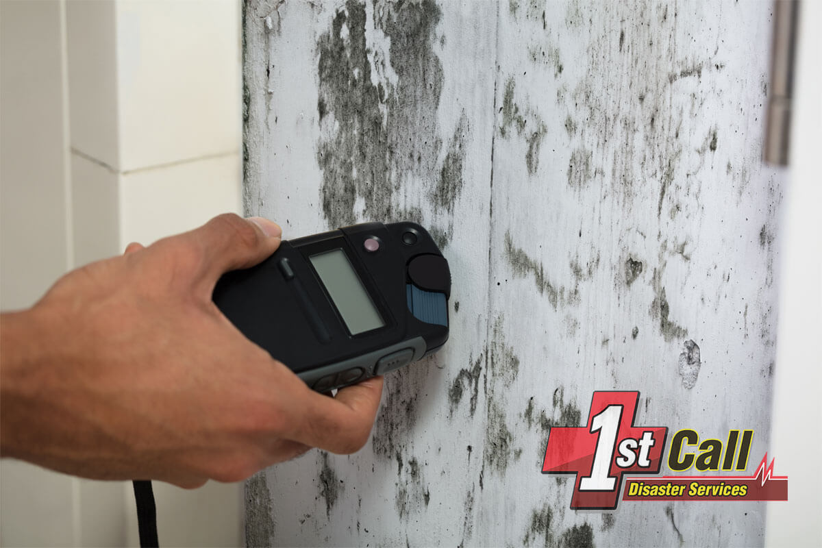   Mold Mitigation in Independence, KY