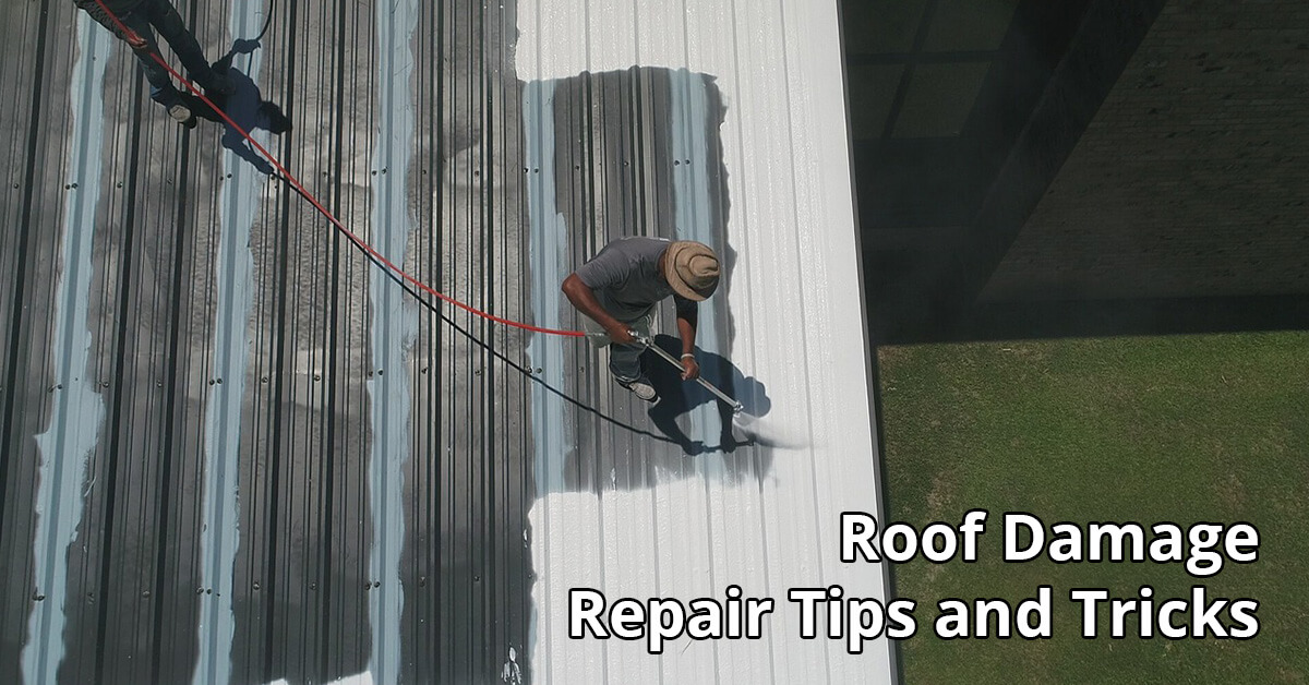   Rood Damage Repair Tips in Fort Thomas, KY