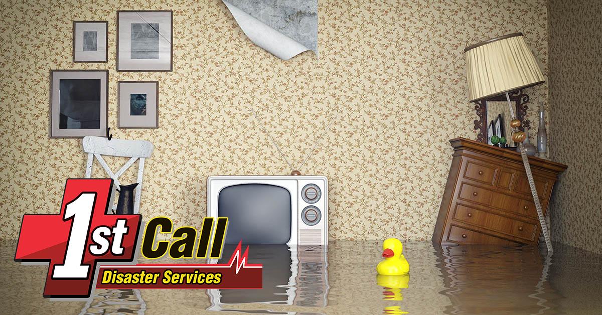  Certified Water Damage Cleanup in Frankfort, KY