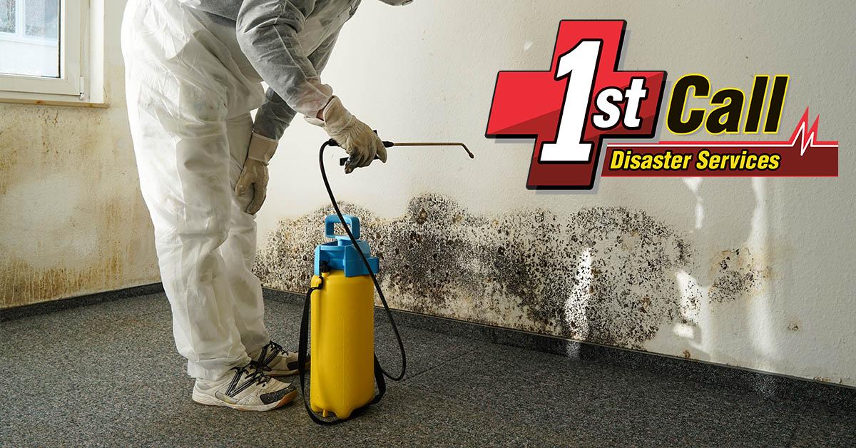  Professional Mold Remediation in Fort Thomas, KY