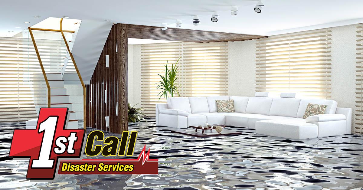  Professional Water Damage Cleanup in Oakbrook, KY