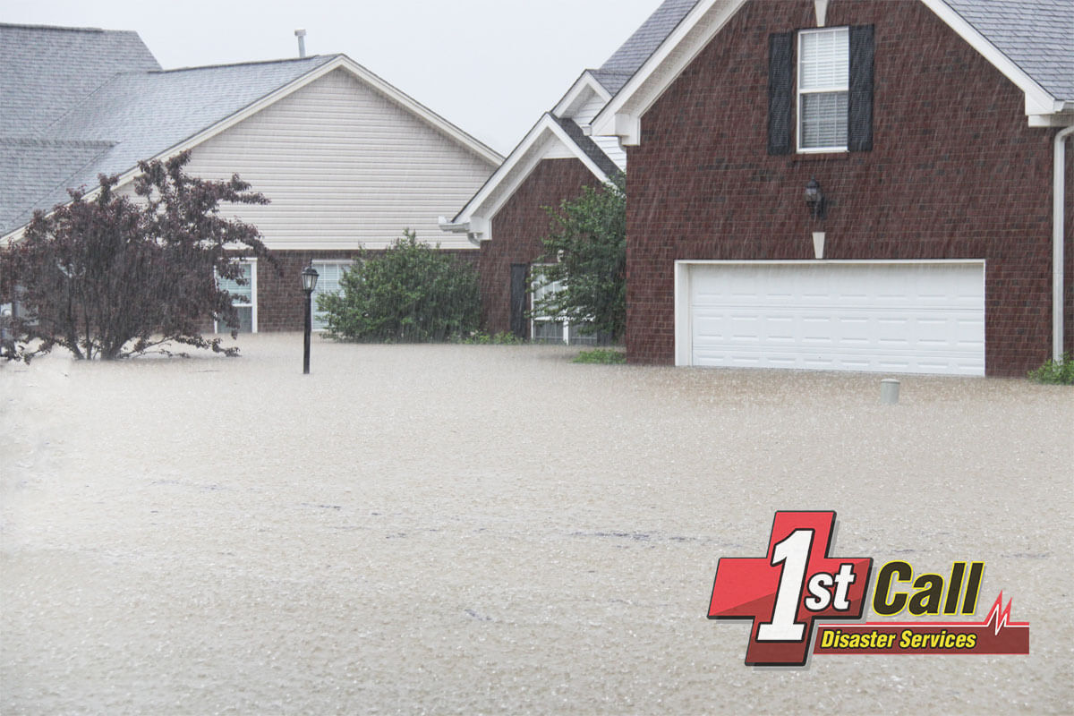  Water Damage Cleanup in Ludlow, KY