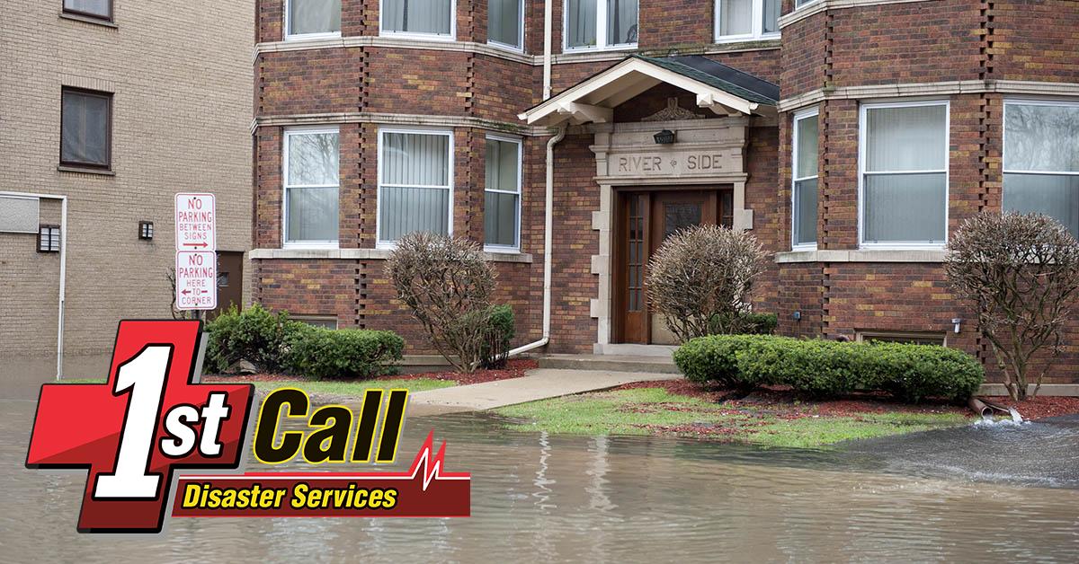  Professional Water Removal in Newport, KY