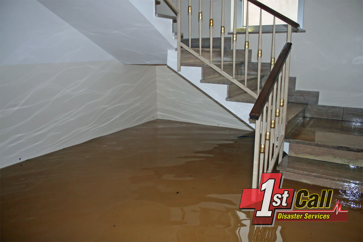   Water Damage Mitigation in Wilder, KY