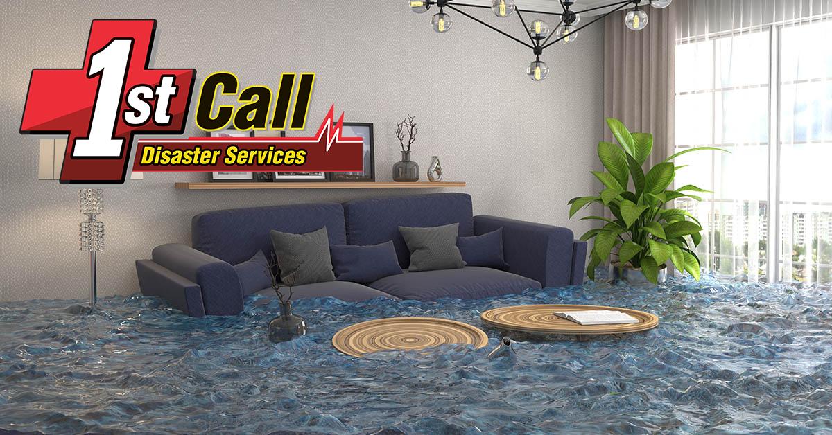  Certified Water Mitigation in Edgewood, KY