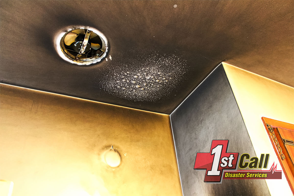   Fire and Smoke Damage Cleanup in Bromley, KY