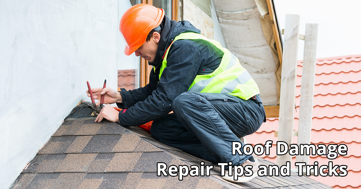   Rood Damage Repair Tips in Lexington, KY