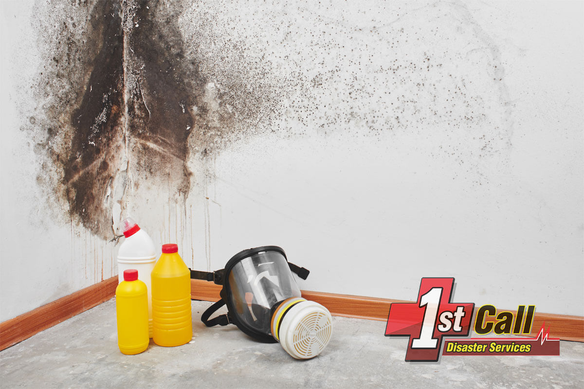   Mold Remediation in Southgate, KY