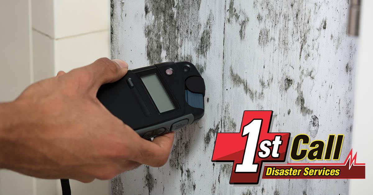  Professional Mold Removal in Dayton, KY