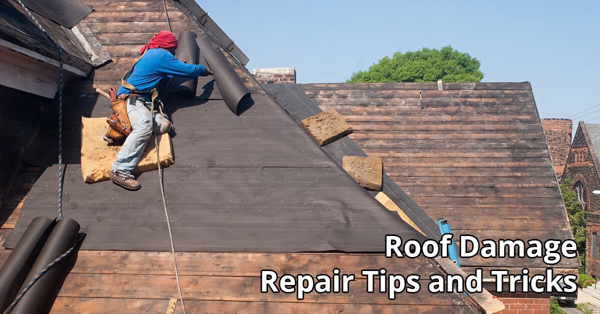   Rood Damage Repair Tips in Walton, KY