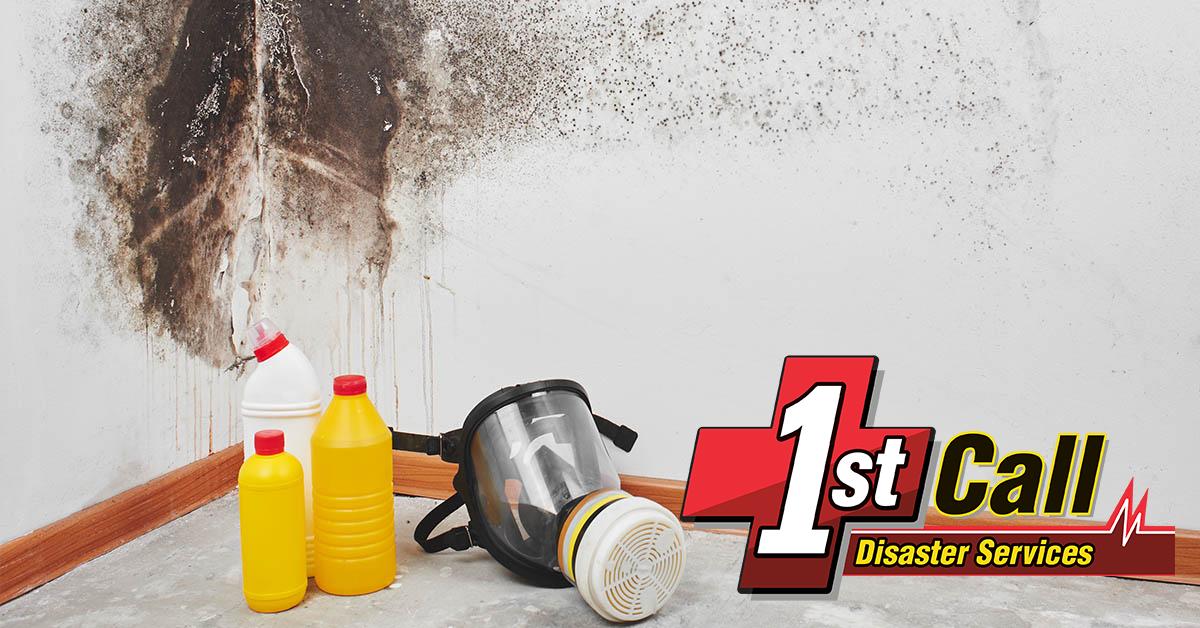   Mold Abatement in Cincinnati, OH