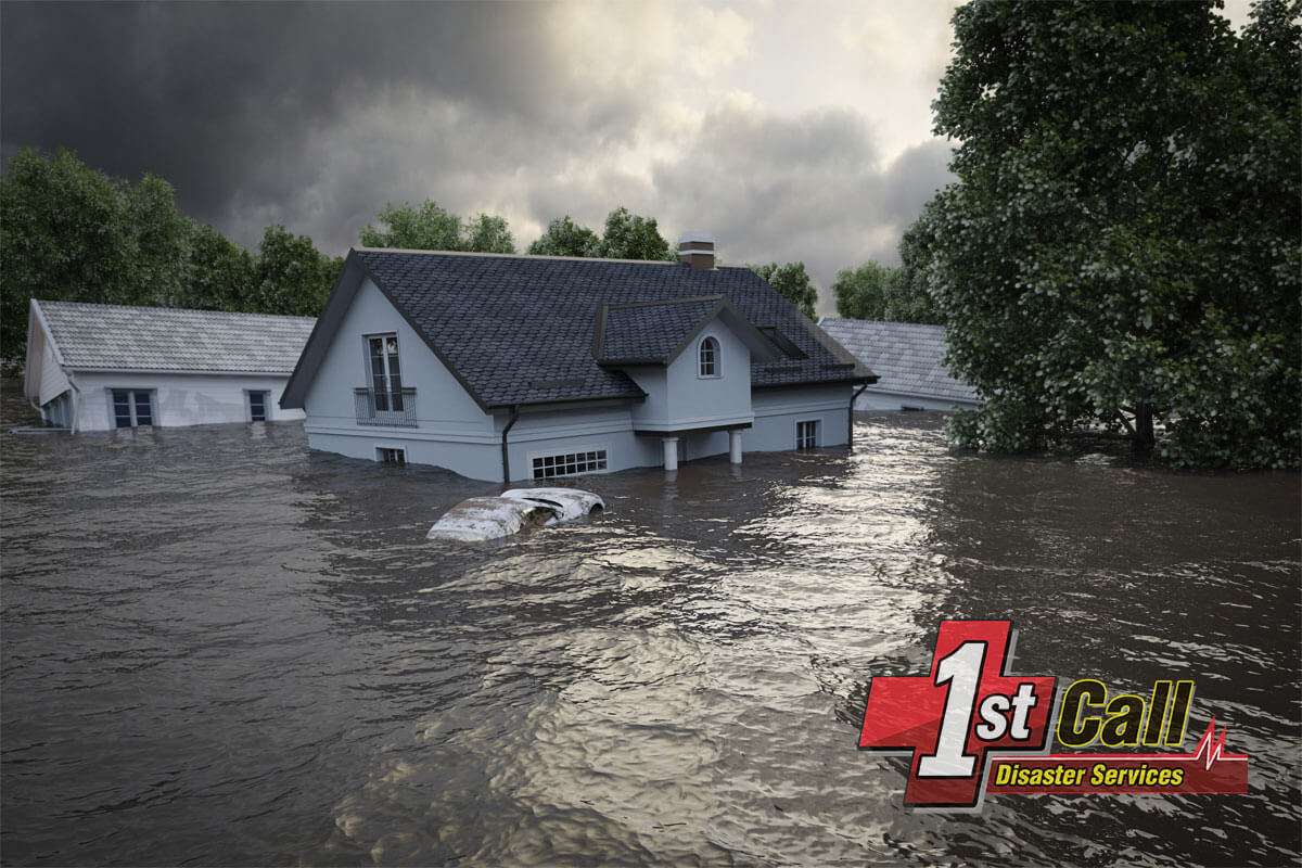   Flood Damage Mitigation in Silver Grove, KY