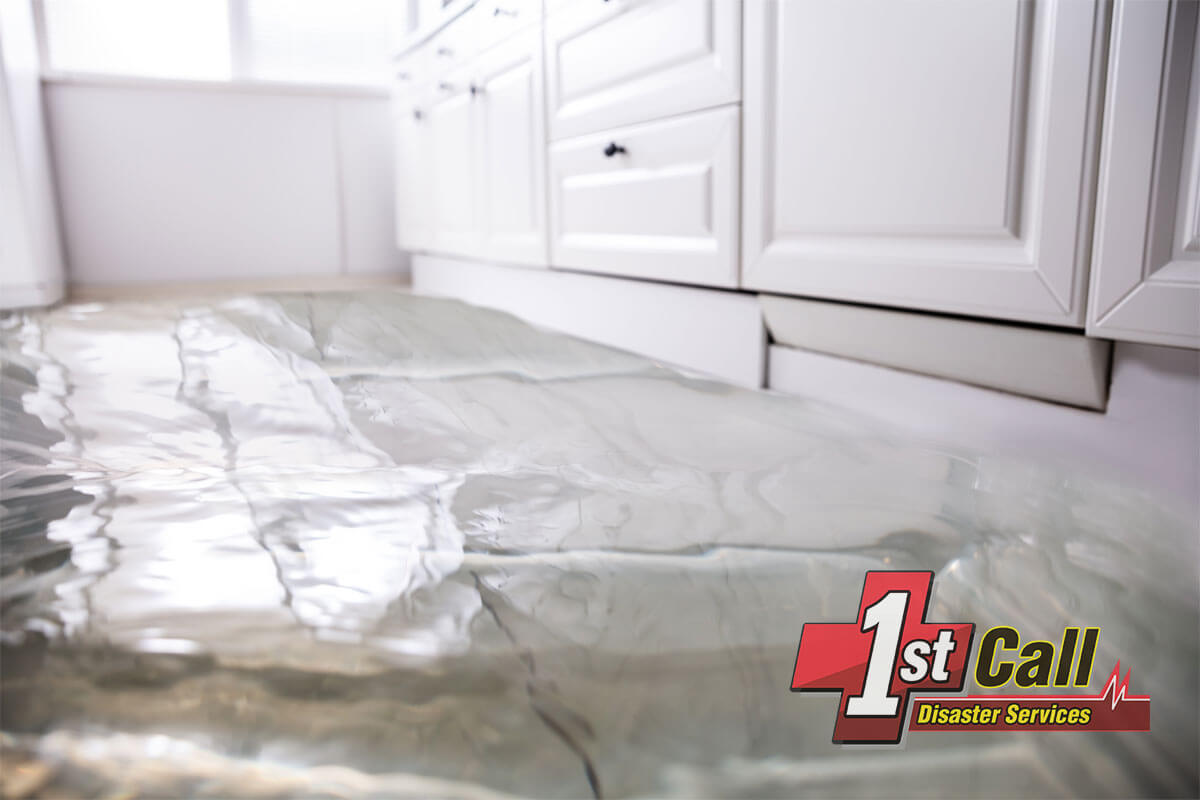   Water Damage Mitigation in Taylor Mill, KY