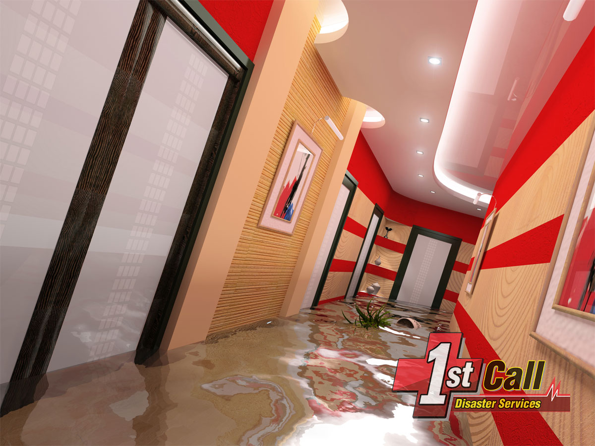   Water Damage Cleanup in Mentor, KY