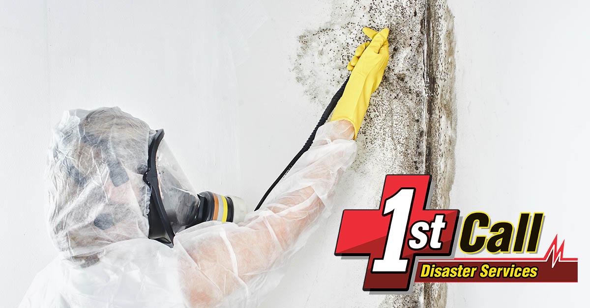   Mold Abatement in Cincinnati, OH