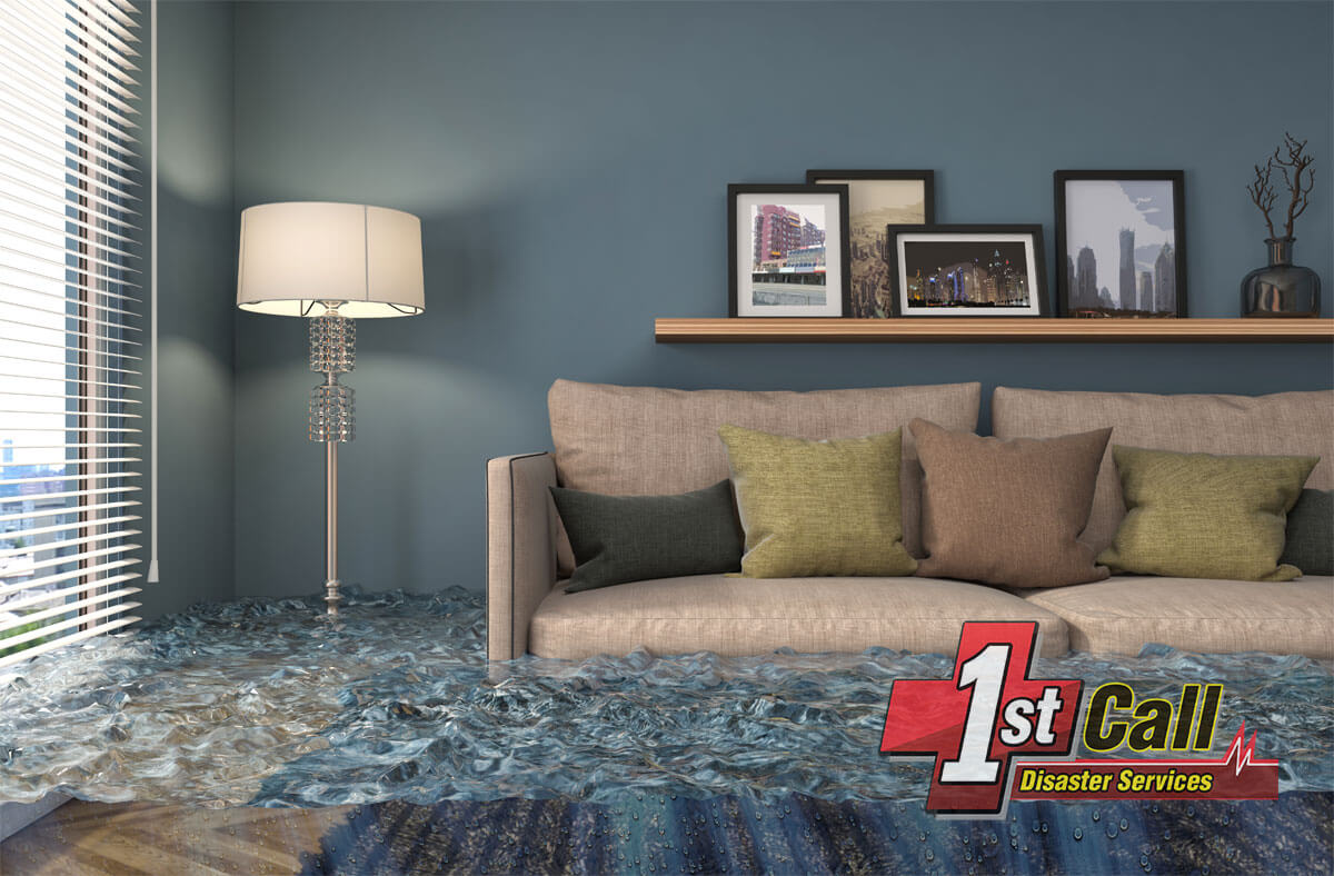   Water Damage Repair in Mentor, KY
