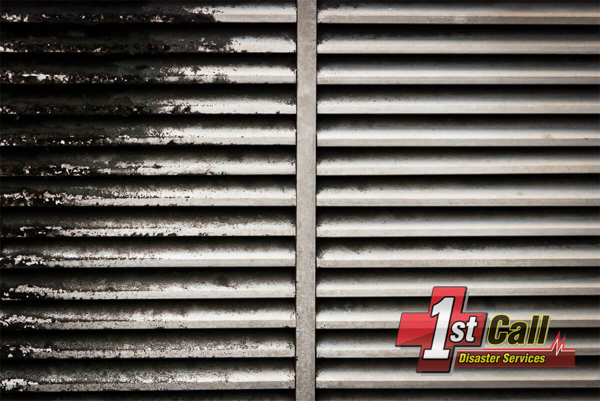   Mold Removal in Fort Mitchell, KY