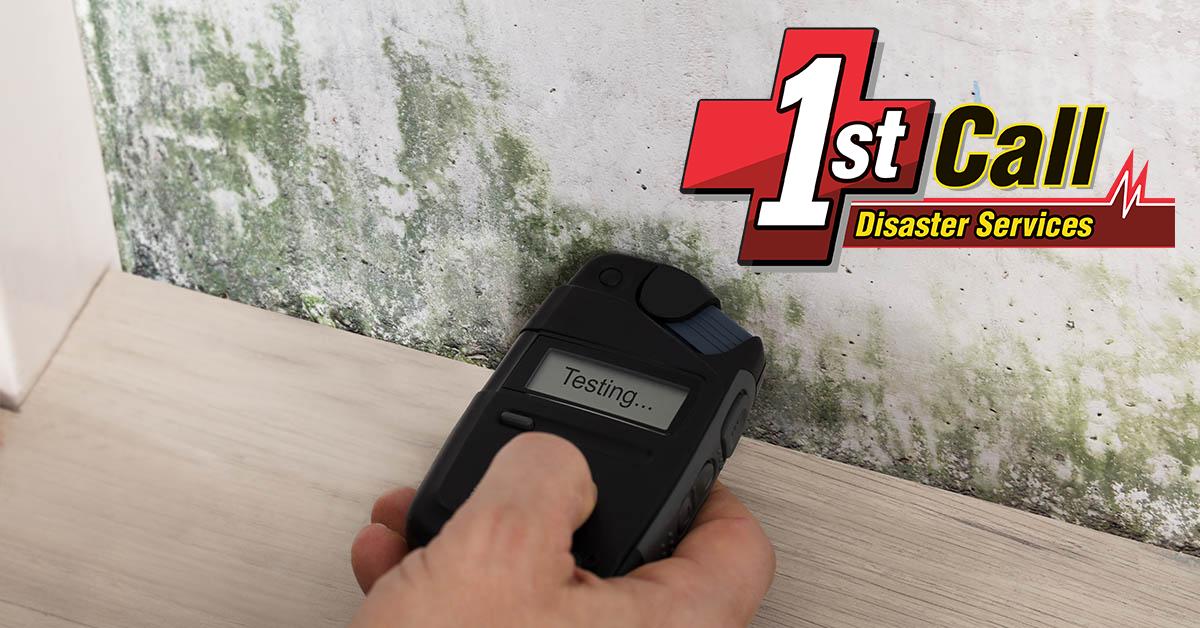  Certified Mold Damage Restoration in Fort Thomas, KY