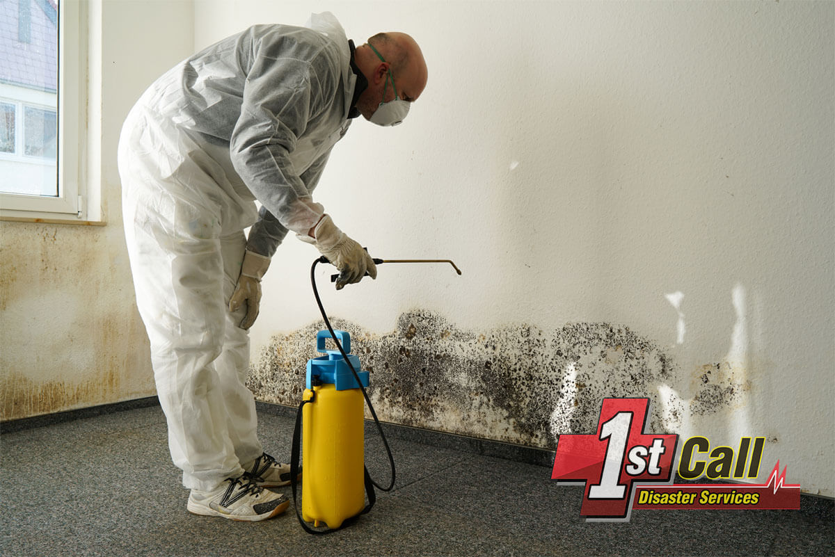   Mold Mitigation in Taylor Mill, KY