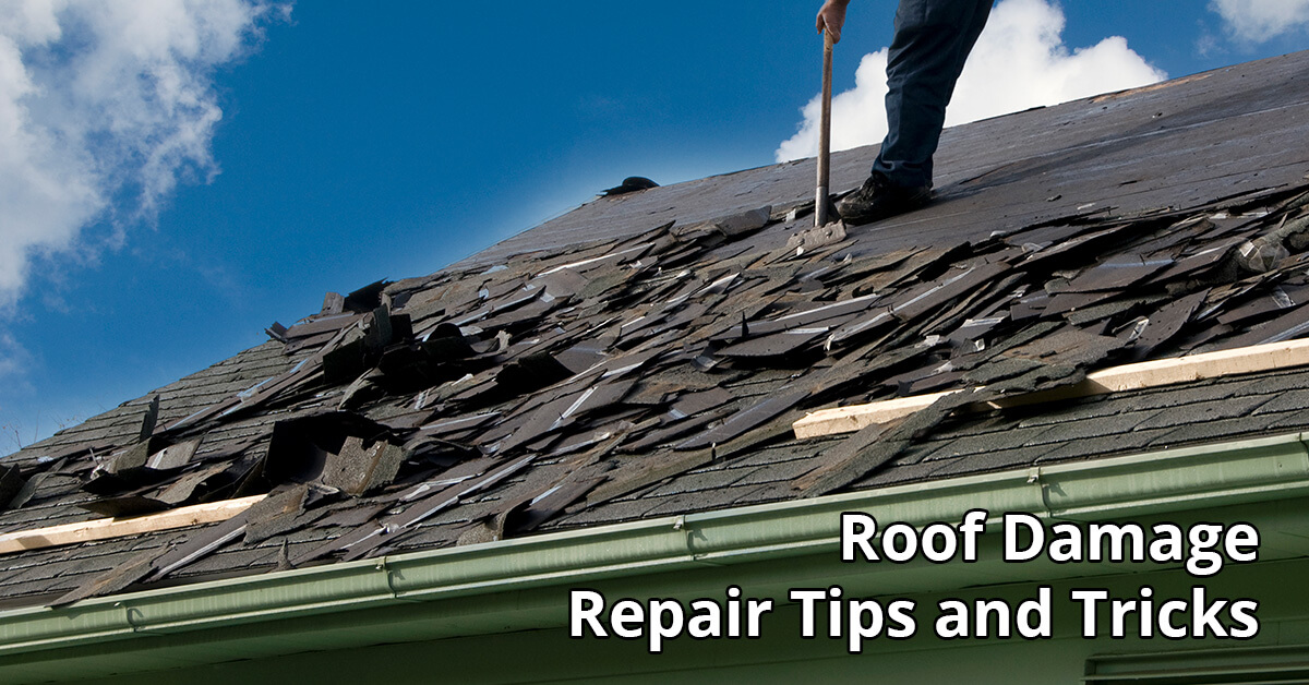   Rood Damage Repair Tips in Dayton, KY