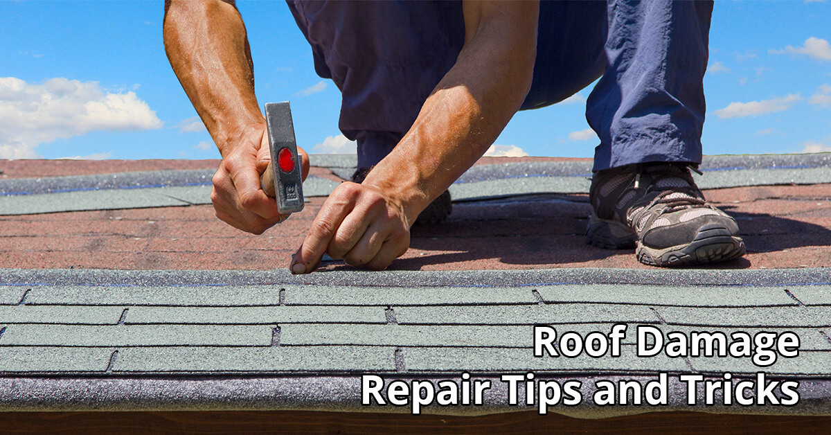   Rood Damage Repair Tips in Edgewood, KY