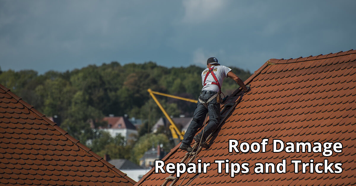   Rood Damage Repair Tips in Bellevue, KY