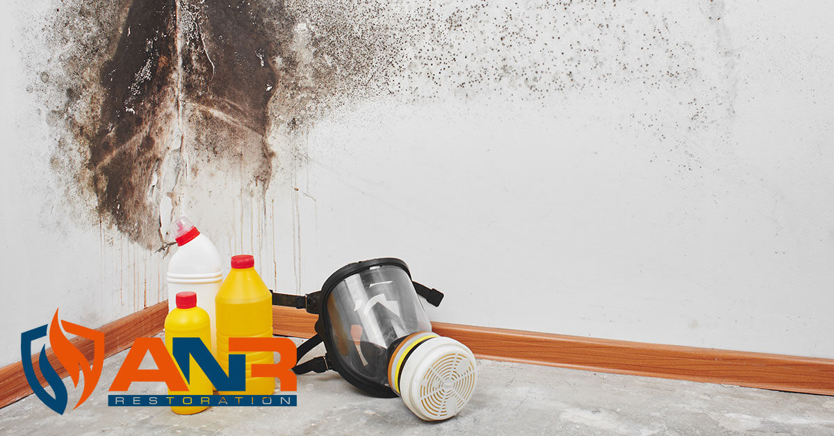   Mold Removal in Floydsburg, KY