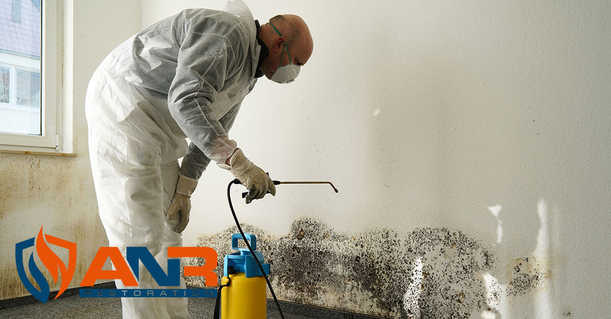   Mold Remediation in Anchorage, KY