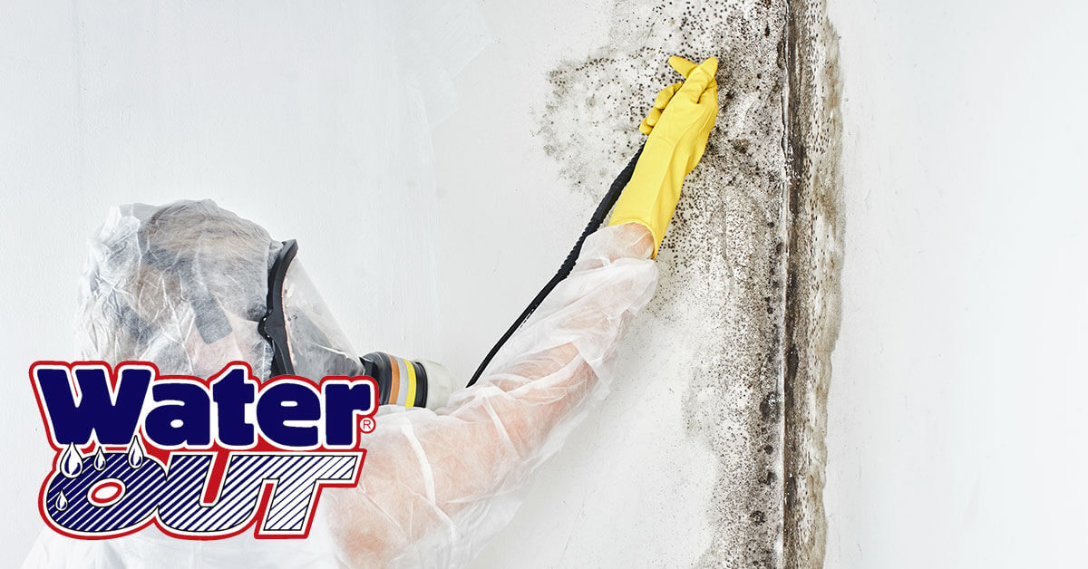   Mold Removal in Huntertown, IN