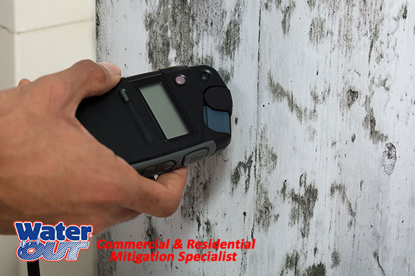  Professional Mold Remediation in Leo-Cedarville, IN