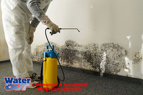  Professional Mold Mitigation in Monroeville, IN