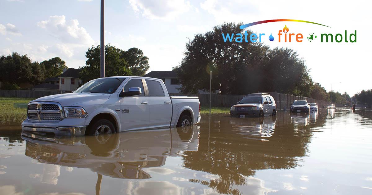  Professional Water Damage in Dallas, TX