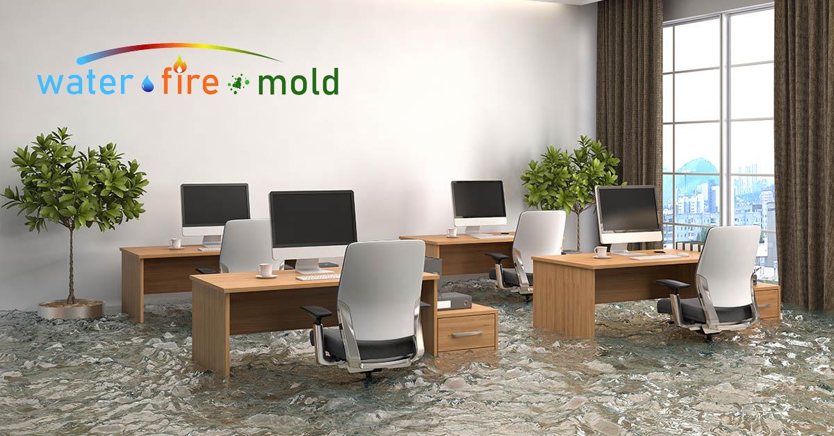  Certified Water Damage in Dallas, TX