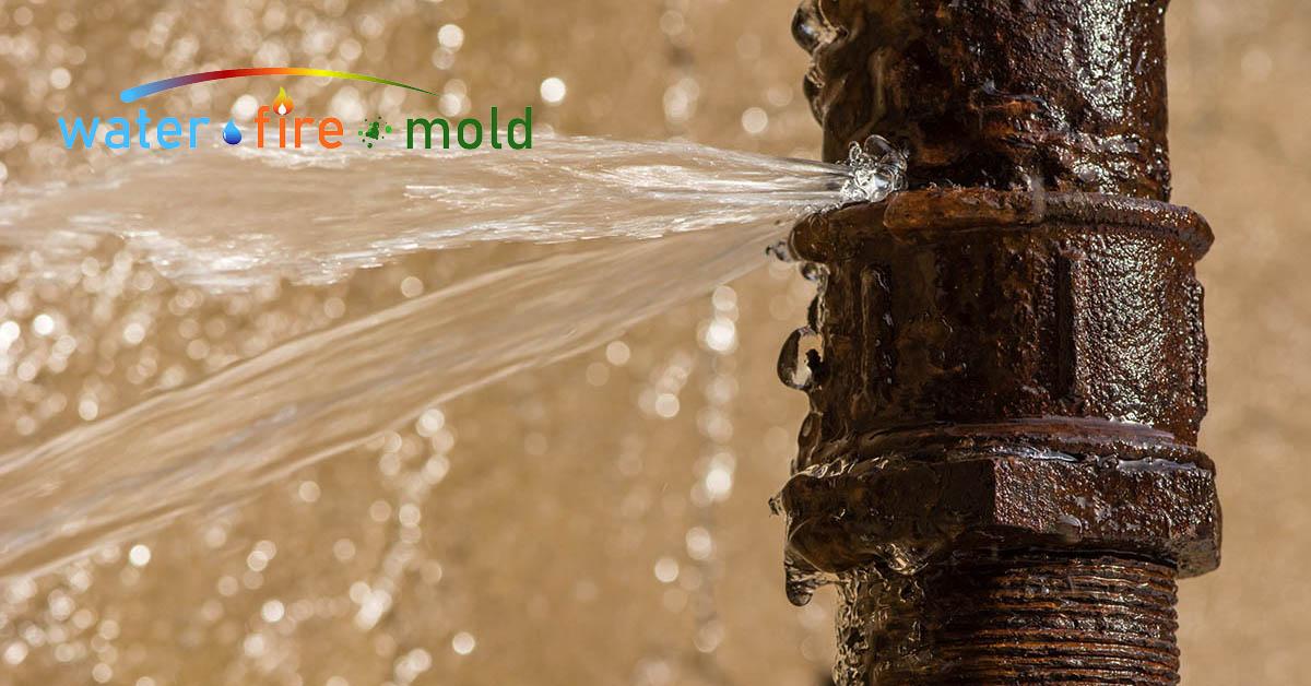  Certified Water Damage in Plano, TX