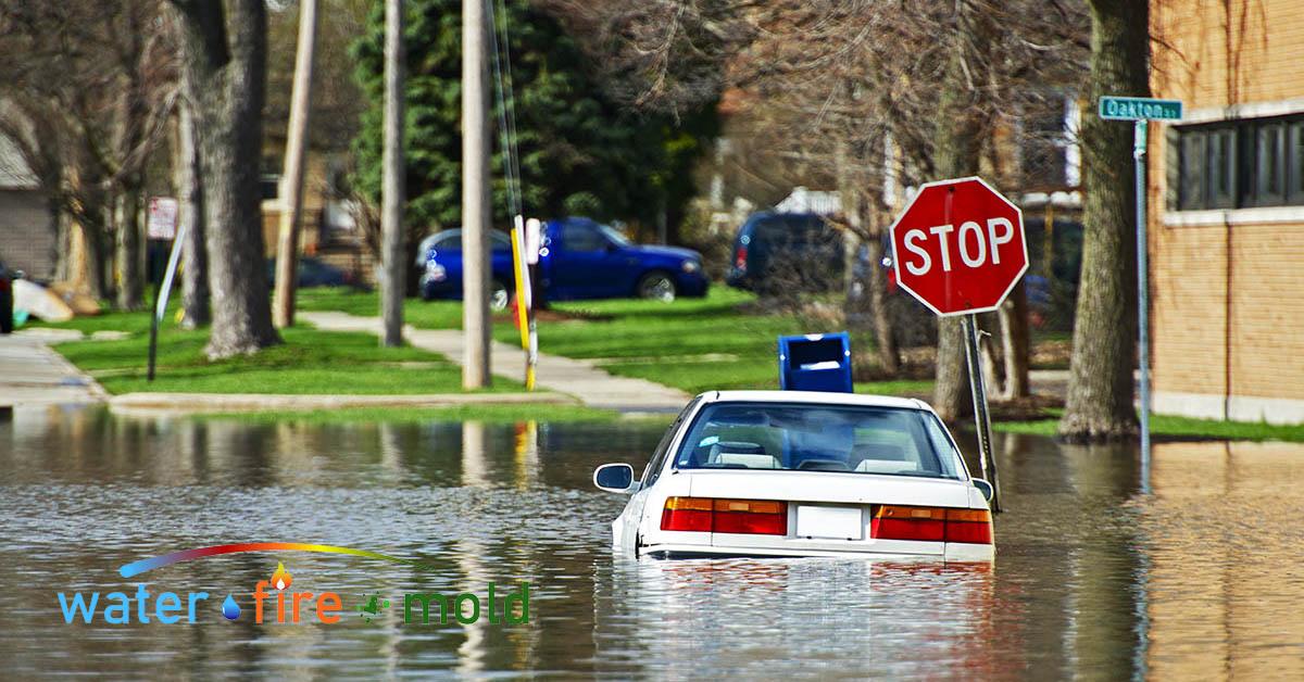  Professional Water Damage Restoration in Dallas, TX