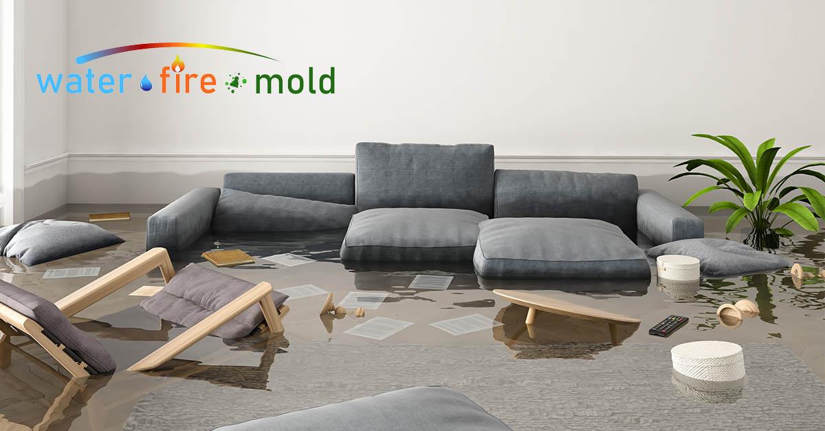  Professional Water Damage Restoration in Plano, TX