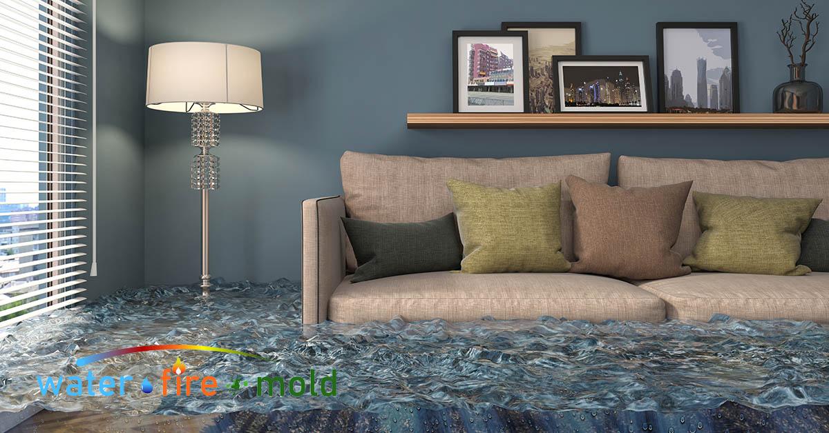  Certified Water Damage Restoration in Plano, TX